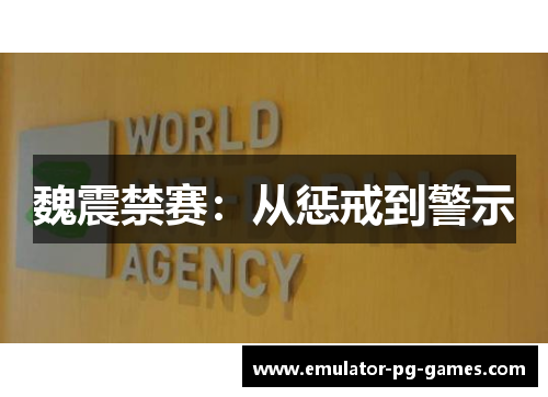 魏震禁赛：从惩戒到警示